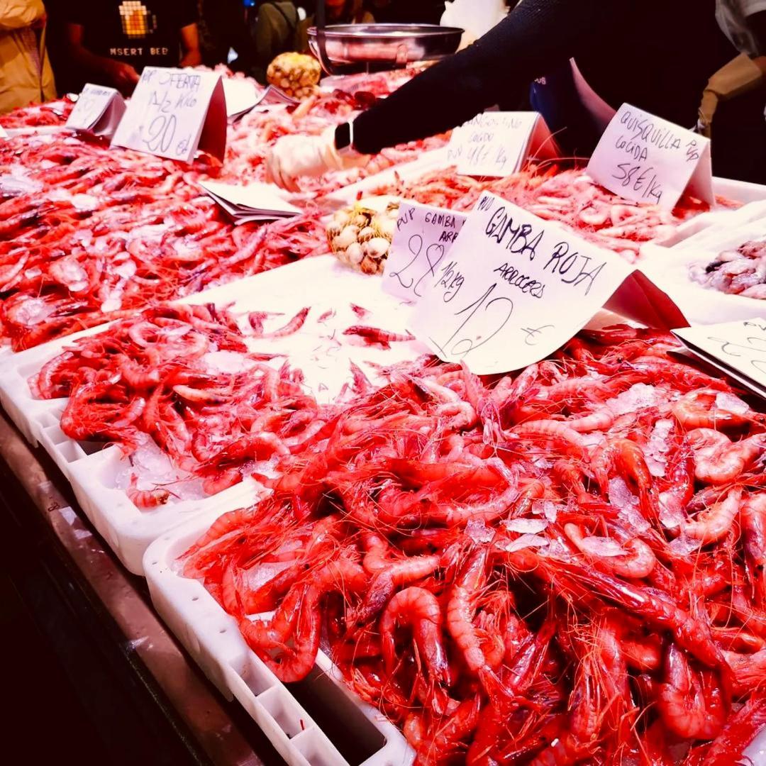 Desconecta Junto Al Mercado Central De 알리칸테 외부 사진